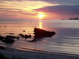 Image showing Seagull in midnight sun. Lofoten at 3 a.m.