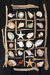 Image showing Driftwood and Shell Abstract 