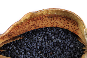 Image showing poppy seeds texture