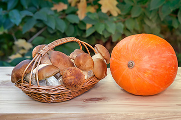 Image showing Still life: basket with mushrooms and pumpkin.