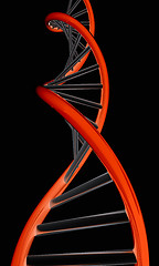 Image showing DNA structure model