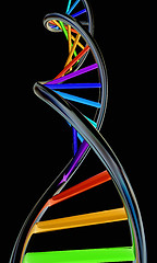 Image showing DNA structure model