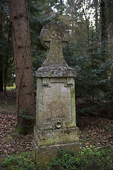 Image showing Overgrown grave stone