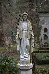 Image showing Overgrown grave stone