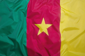 Image showing Flag of Cameroon