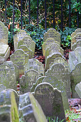 Image showing Animal Cemetery