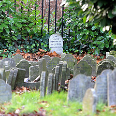 Image showing Pet Cemetery