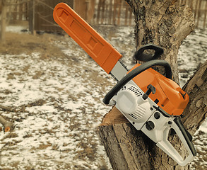 Image showing Chainsaw and cut tree branches.