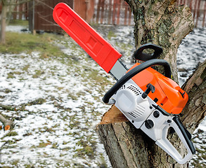 Image showing Chainsaw and cut tree branches.