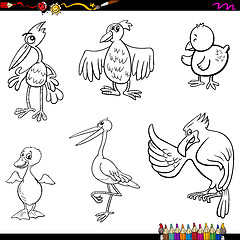 Image showing birds cartoon coloring page