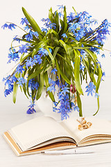 Image showing The bouquet of  blue primroses on the table
