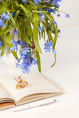 Image showing The bouquet of  blue primroses on the table