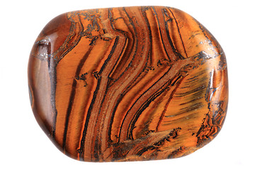 Image showing tiger eye isolated