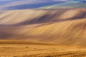 Image showing Spring landscape with vineyard and fields