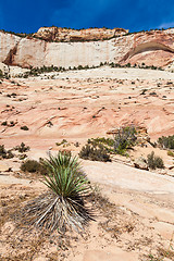 Image showing Zion National Park