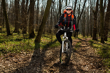 Image showing Mountain biker riding on bike in springforest landscape. 