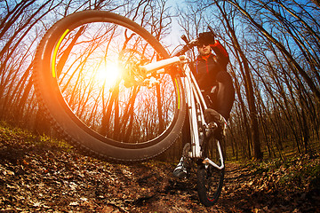 Image showing Cyclist Riding the Bike