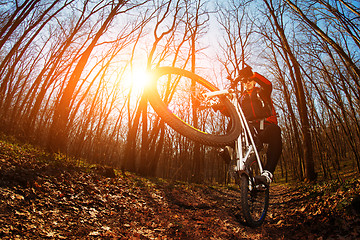 Image showing Cyclist Riding the Bike