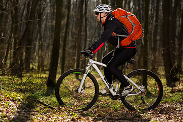 Image showing Mountain biker riding on bike in springforest landscape. 