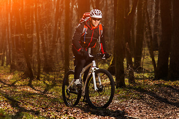 Image showing Mountain biker riding on bike in springforest landscape. 