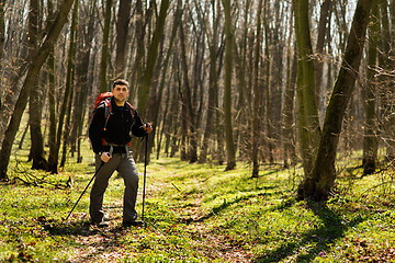 Image showing Active healthy man hiking in beautiful forest