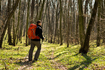 Image showing Active healthy man hiking in beautiful forest