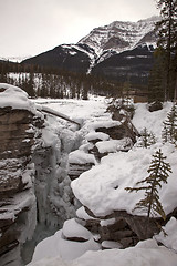 Image showing Athabasca Falls in Winter