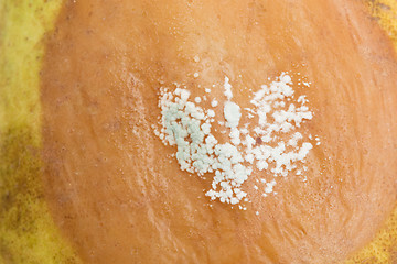 Image showing Pear with white area of fungus growing on it, selective focus