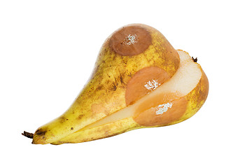 Image showing Close up of a pear with white area of fungus growing on it, sele