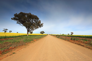 Image showing Country road through rural farmland