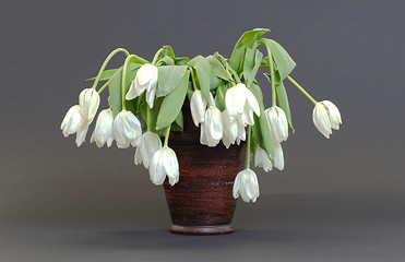 Image showing Vase full of droopy and dead flowers