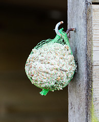 Image showing Tallow bird food