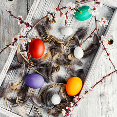 Image showing Painted eggs for the holiday