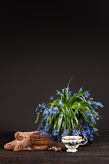 Image showing Tea with  lemon and bouquet of  blue primroses on the table