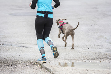 Image showing Woman running with dog