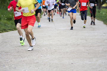 Image showing Marathon cross-country running