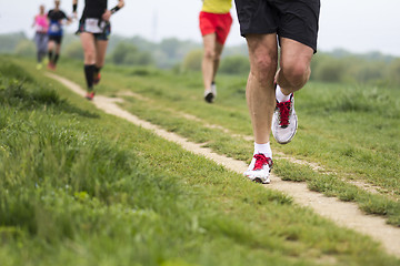 Image showing Marathon cross-country running