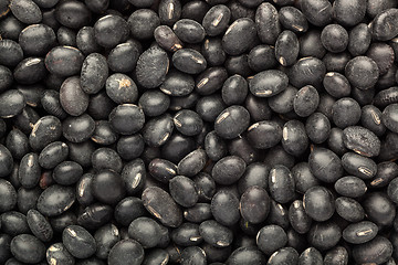 Image showing Black turtle bean