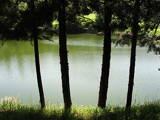 Image showing Water at the back. Cyprus