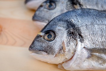 Image showing Cooking fish on the grill