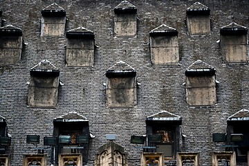 Image showing Many windows on the roof