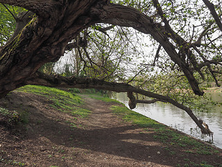 Image showing River Po in Turin