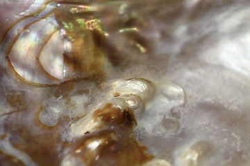Image showing luxury pearl texture 