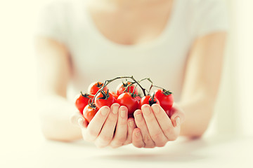 Image showing close up of woman hands holding cherry tomatoes