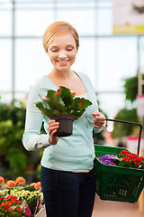 Image showing happy woman with shopping basket choosing flowers