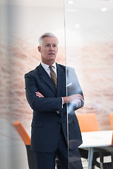 Image showing portrait of handsome senior business man at modern office