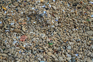Image showing small color stones texture from beach 