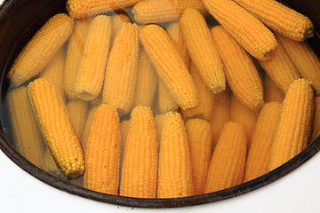 Image showing sweet corn cooking
