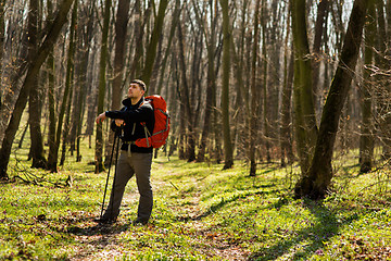 Image showing Active healthy man hiking in beautiful forest