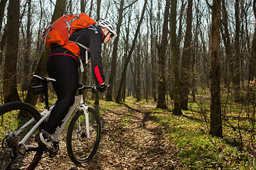 Image showing Mountain biker riding on bike in springforest landscape. 